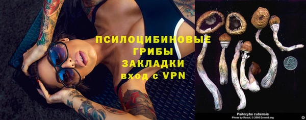 ГАЛЛЮЦИНОГЕННЫЕ ГРИБЫ Балахна