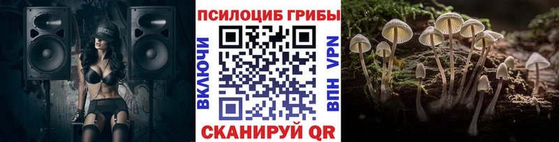 что такое Кондопога Псилоцибиновые грибы Magic Shrooms
