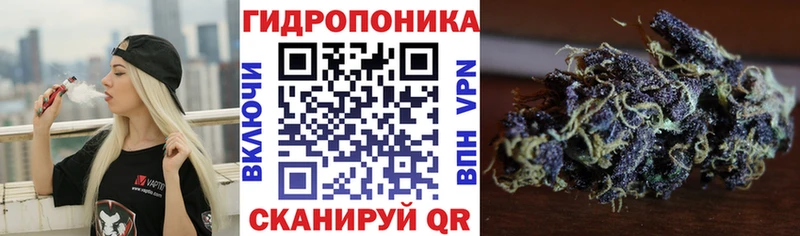 Канабис сатива Кондопога